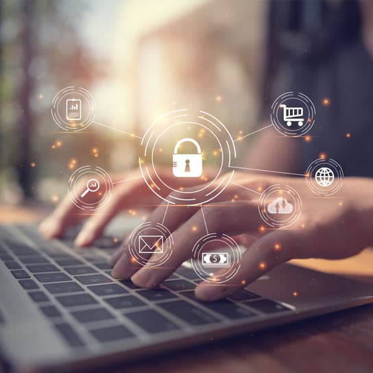 Free Domain & SSL Included